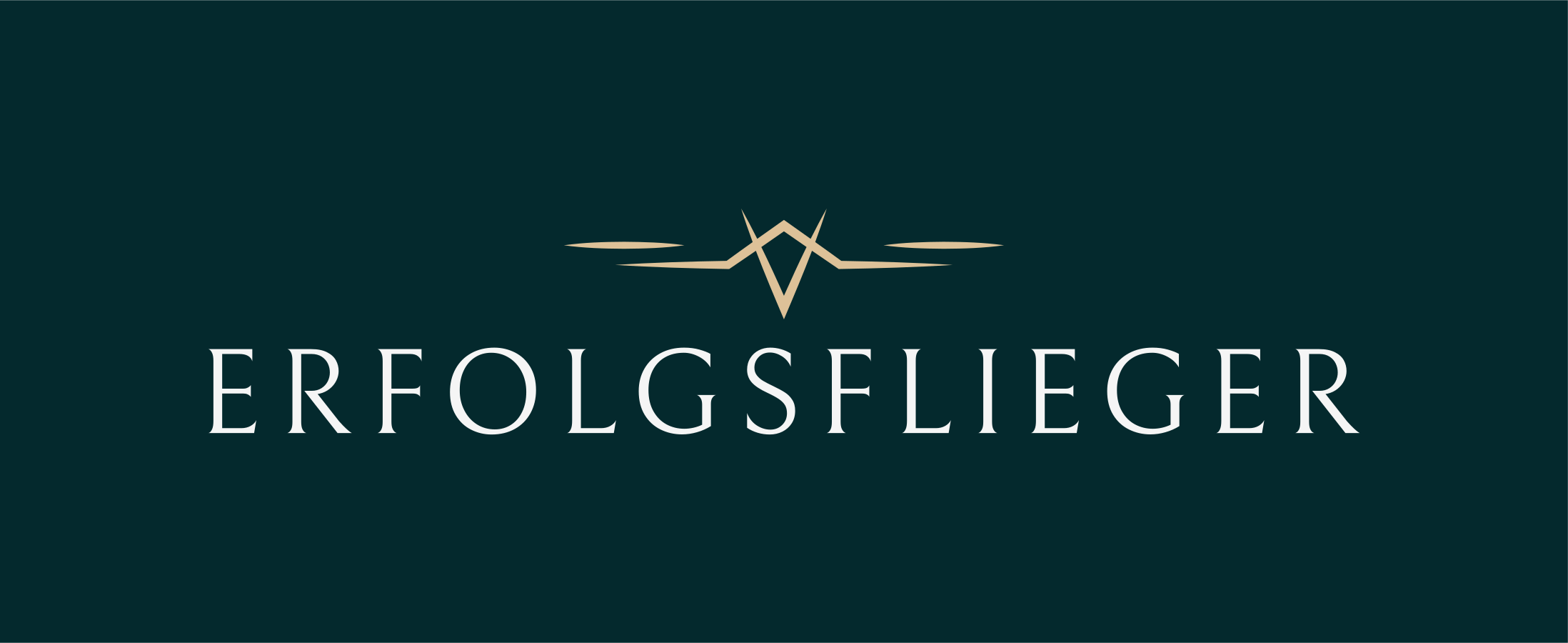 Erfolgsflieger